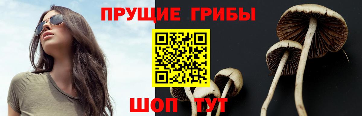 где продают наркотики  Галлюциногенные грибы мухоморы  Вход с VPN  Новозыбков 